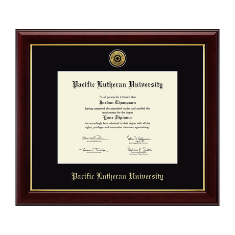 Gold Engraved Medallion Diploma Frame - Gallery Frame